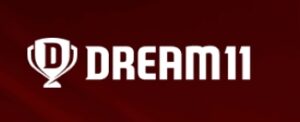 Dream11 के फाउंडर हर्ष जैन ने कहा ऑनलाइन गेमिंग रोक से किसी की नौकरी नहीं जाएगी 